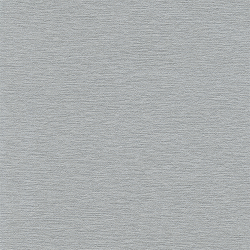 Brushed Silver 0107